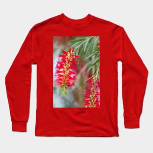 Weeping Bottlebrush Red Blooms Long Sleeve T-Shirt